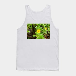 Iao Valley State Monument Study 14 Tank Top